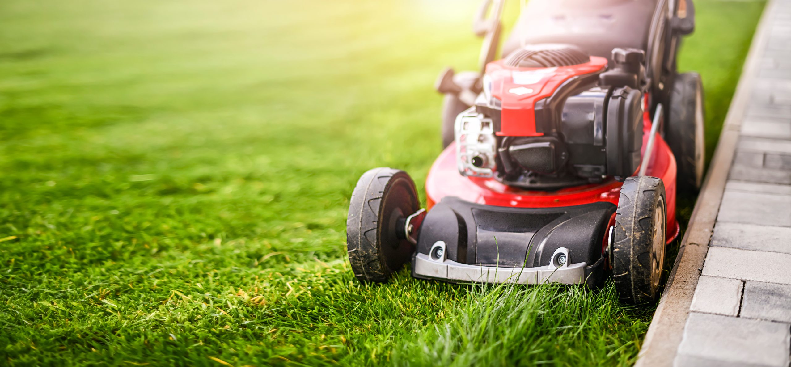 Lawn,Mover,On,Green,Grass,In,Modern,Garden.,Machine,For